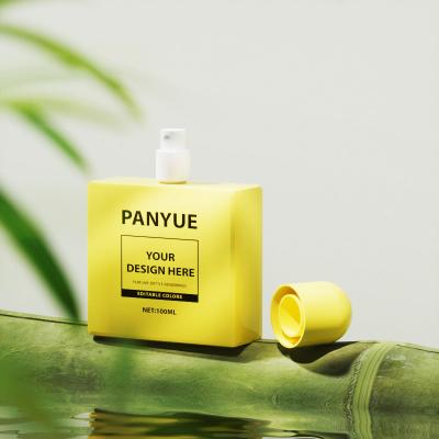 100ml Glass Bottle for Luxury Perfume